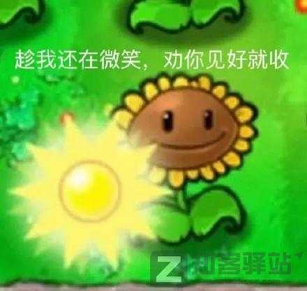 IP属地开放!看片记录也藏不住了?-9 IP属地开放!看片记录也藏不住了?