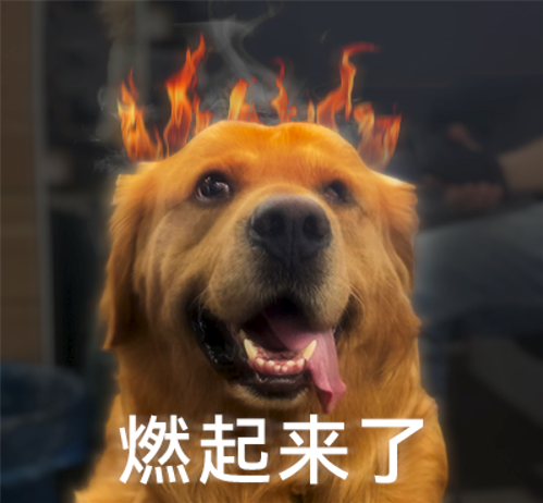 在B站有10万粉的年轻人,一个月赚多少?-16 在B站有10万粉的年轻人,一个月赚多少?