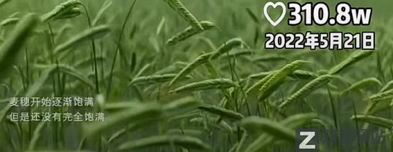 刘德华删抄袭视频,全网道歉了!-4 刘德华删抄袭视频,全网道歉了!