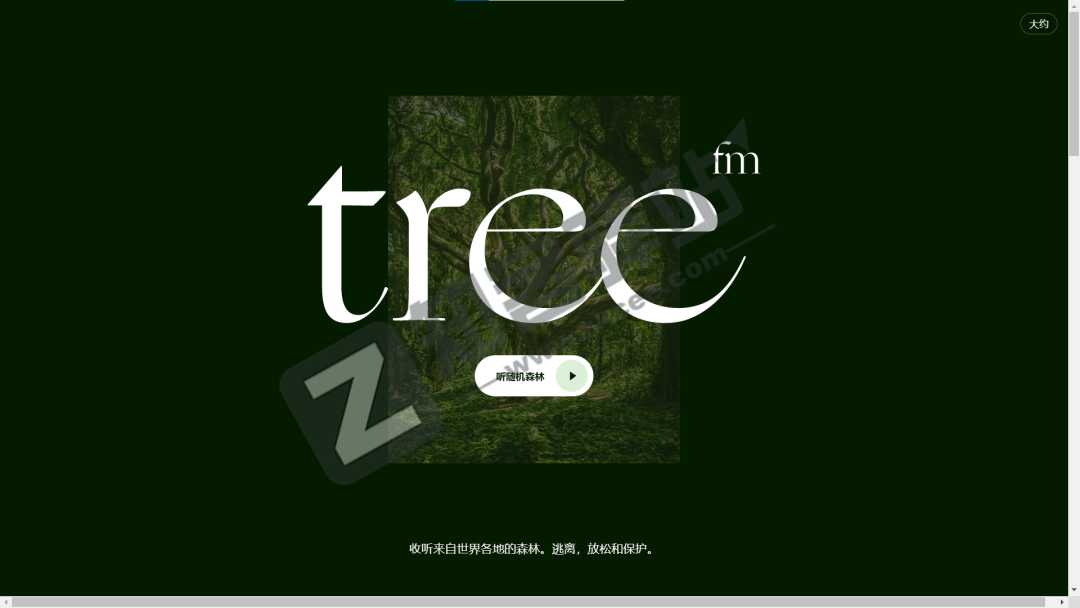 世界森林声音